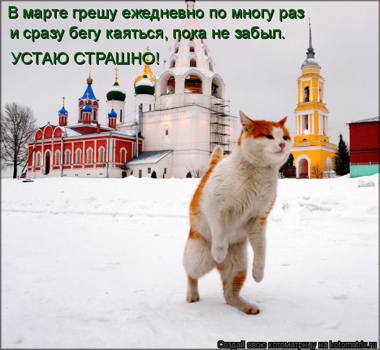 В марте грешу ежедневно по многу раз и сразу бегу каяться, пока не забыл. УСТАЮ СТРАШНО!... Котоматрица: В марте грешу ежедневно по многу раз и сразу бегу каяться, пока не забыл. УСТАЮ СТРАШНО!