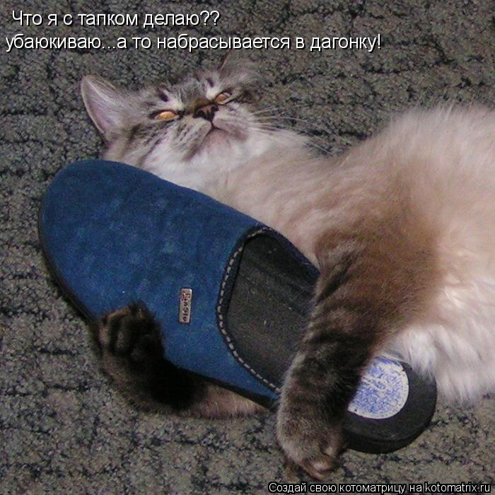 Что я с тапком делаю?? убаюкиваю...а то набрасывается в дагонку!... Котоматрица: Что я с тапком делаю?? убаюкиваю...а то набрасывается в дагонку!
