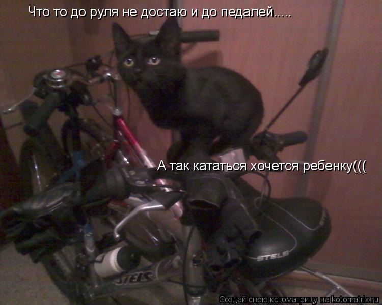 Что то до руля не достаю и до педалей..... А так кататься хочется ребенку(((... Котоматрица: Что то до руля не достаю и до педалей..... А так кататься хочется ребенку(((