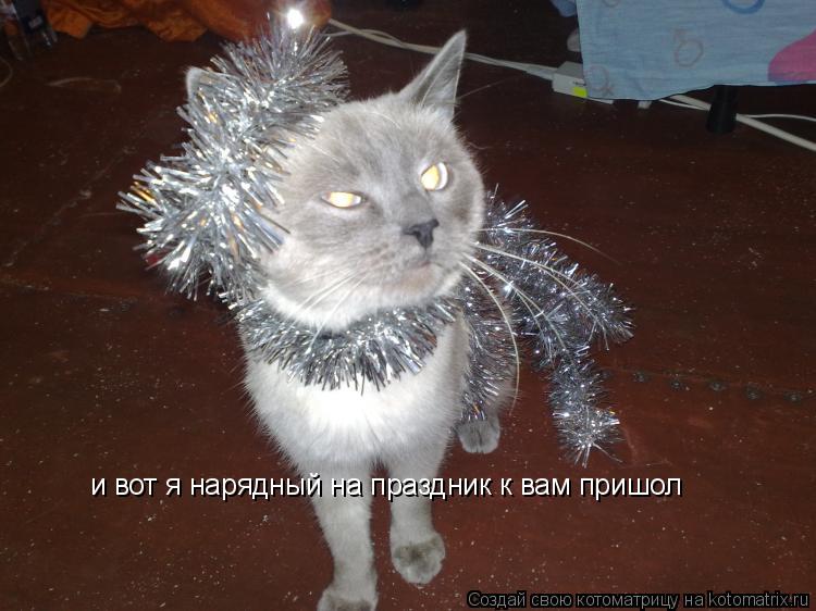 и вот я нарядный на праздник к вам пришол... Котоматрица: и вот я нарядный на праздник к вам пришол