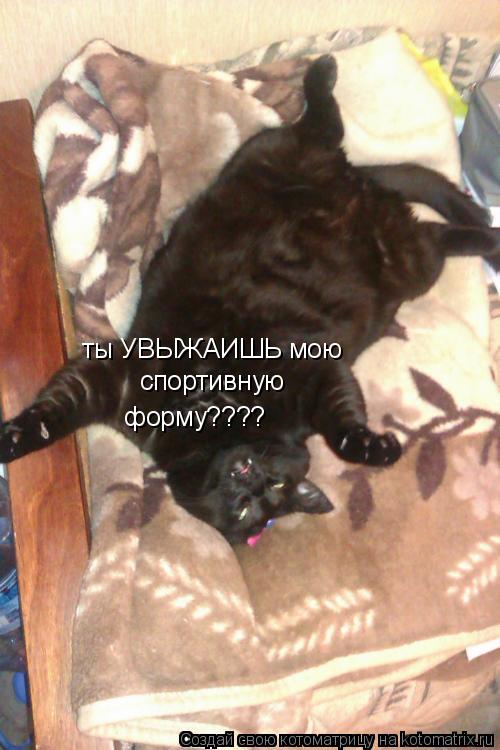 ты уважаешь мою спортивную форму???? форму???? ты УВЫЖАИШЬ мою спортивную... Котоматрица: ты уважаешь мою спортивную форму???? форму???? ты УВЫЖАИШЬ мою спортивную
