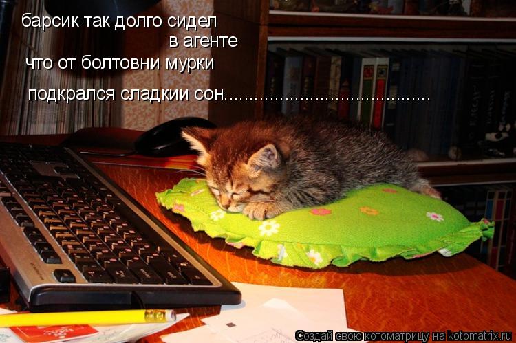 барсик так долго сидел в агенте что от болтовни мурки подкрался сладкии сон............................ Котоматрица: барсик так долго сидел в агенте что от болтовни мурки подкрался сладкии сон.........................................