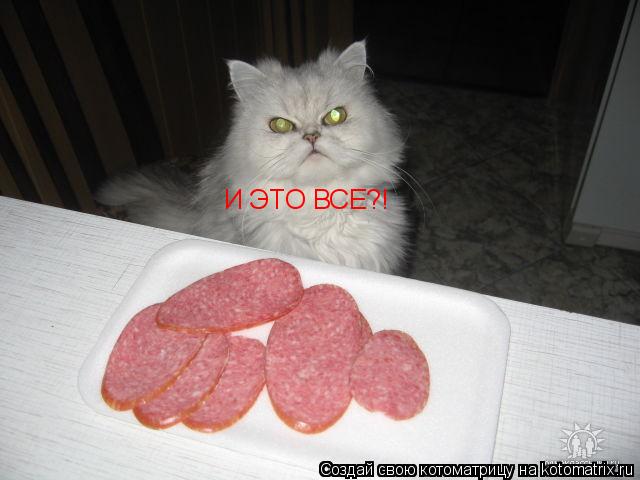 И ЭТО ВСЕ?!... Котоматрица: И ЭТО ВСЕ?!