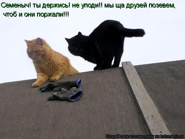 Семеныч! ты держись! не уподи!! мы ща друзей позевем, чтоб и они поржали!!!... Котоматрица: Семеныч! ты держись! не уподи!! мы ща друзей позевем, чтоб и они поржали!!!