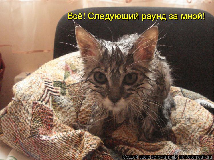 Всё! Следующий раунд за мной!... Котоматрица: Всё! Следующий раунд за мной!