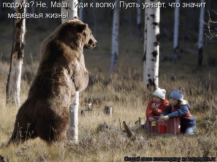 подруга? Не, Маш. Иди к волку! Пусть узнает, что значит медвежья жизнь!... Котоматрица: подруга? Не, Маш. Иди к волку! Пусть узнает, что значит медвежья жизнь!