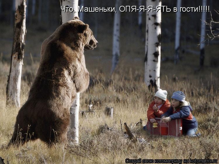 Что, Машеньки, ОПЯ-Я-Я-ЯТЬ в гости!!!!!... Котоматрица: Что, Машеньки, ОПЯ-Я-Я-ЯТЬ в гости!!!!!