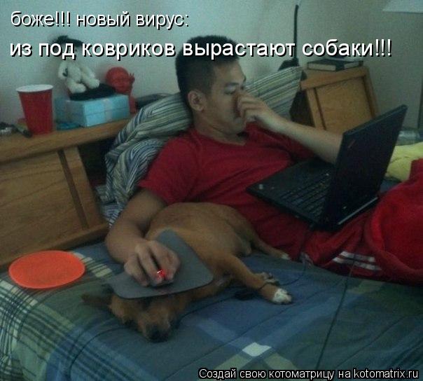 боже!!! новый вирус: из под ковриков вырастают собаки!!!... Котоматрица: боже!!! новый вирус: из под ковриков вырастают собаки!!!