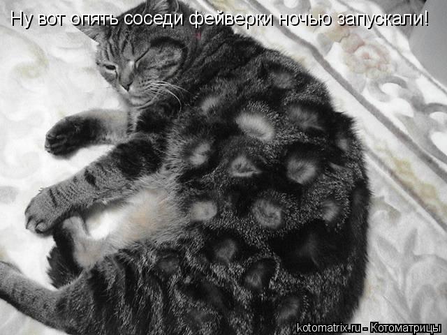 Ну вот опять соседи фейверки запускали ночью вот отхожу! Ну вот опять соседи фейверки ночью запускали... Котоматрица: Ну вот опять соседи фейверки запускали ночью вот отхожу! Ну вот опять соседи фейверки ночью запускали!