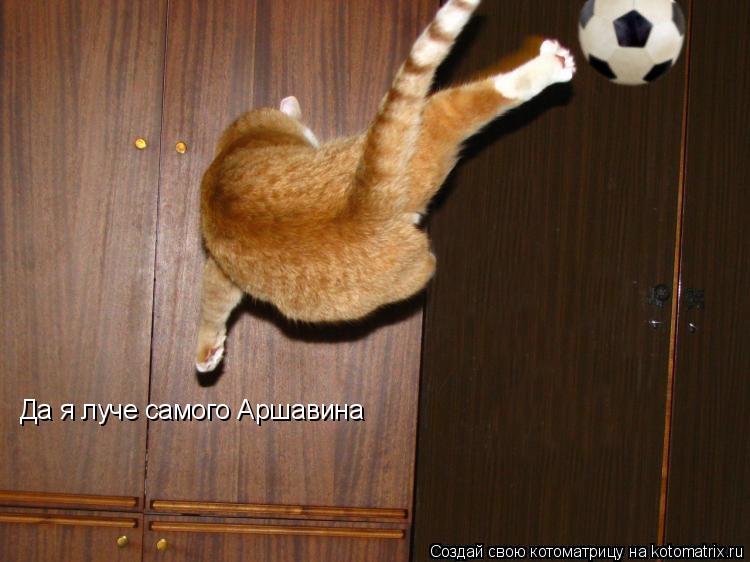 Да я луче самого Аршавина... Котоматрица: Да я луче самого Аршавина