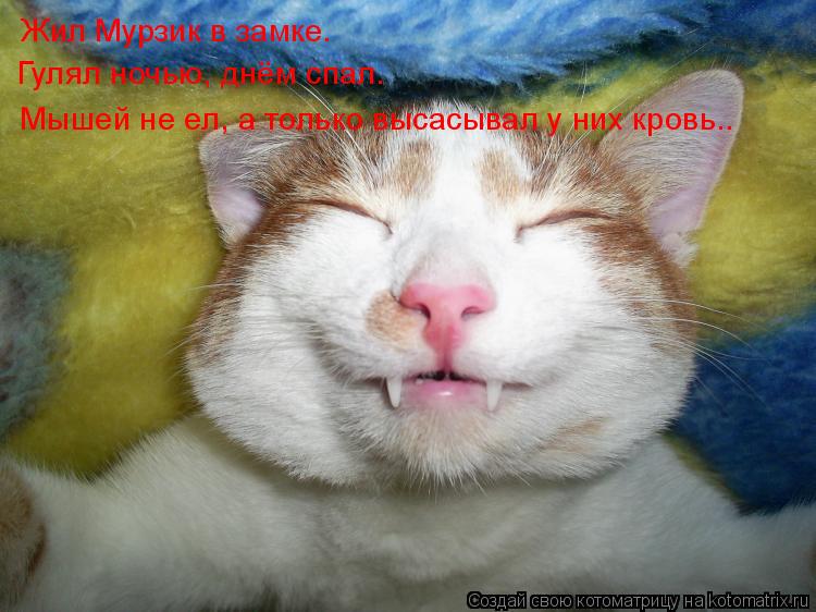 Жил Мурзик в замке. Гулял ночью, днём спал. Мышей не ел, а только высасывал у них кровь..... Котоматрица: Жил Мурзик в замке. Гулял ночью, днём спал. Мышей не ел, а только высасывал у них кровь..