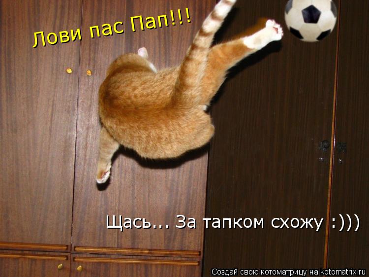 Щась... За тапком схожу :))) Лови пас Пап!!!... Котоматрица: Щась... За тапком схожу :))) Лови пас Пап!!!