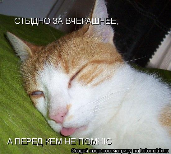 СТЫДНО ЗА ВЧЕРАШНЕЕ, А ПЕРЕД КЕМ НЕ ПОМНЮ... Котоматрица: СТЫДНО ЗА ВЧЕРАШНЕЕ, А ПЕРЕД КЕМ НЕ ПОМНЮ