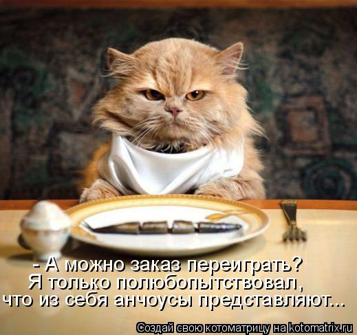 - А можно заказ переиграть? Я только полюбопытствовал, что из себя анчоусы представляют...... Котоматрица: - А можно заказ переиграть? Я только полюбопытствовал, что из себя анчоусы представляют...