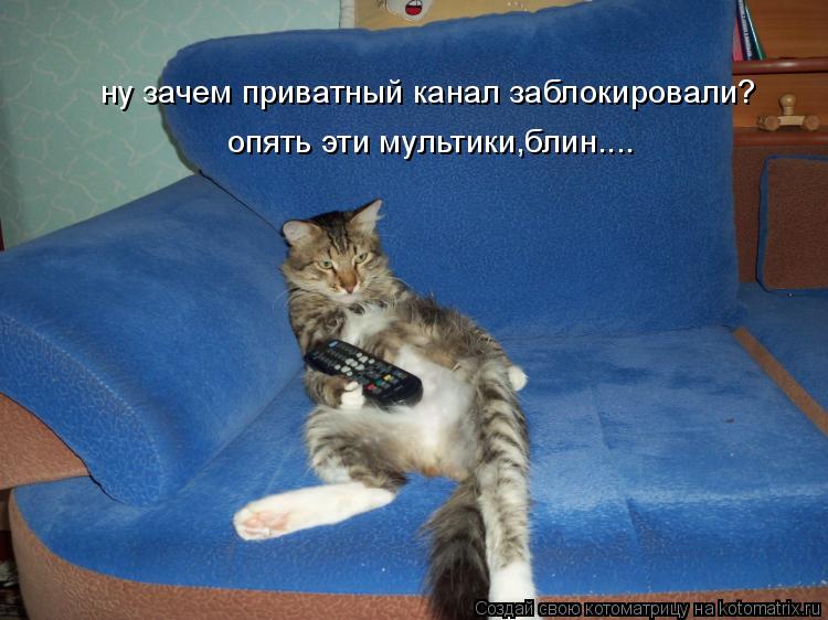ну зачем приватный канал заблокировали?опять эти мультики,блин..... ну зачем приватный канал заблокир... Котоматрица: ну зачем приватный канал заблокировали?опять эти мультики,блин..... ну зачем приватный канал заблокировали? опять эти мультики,блин....