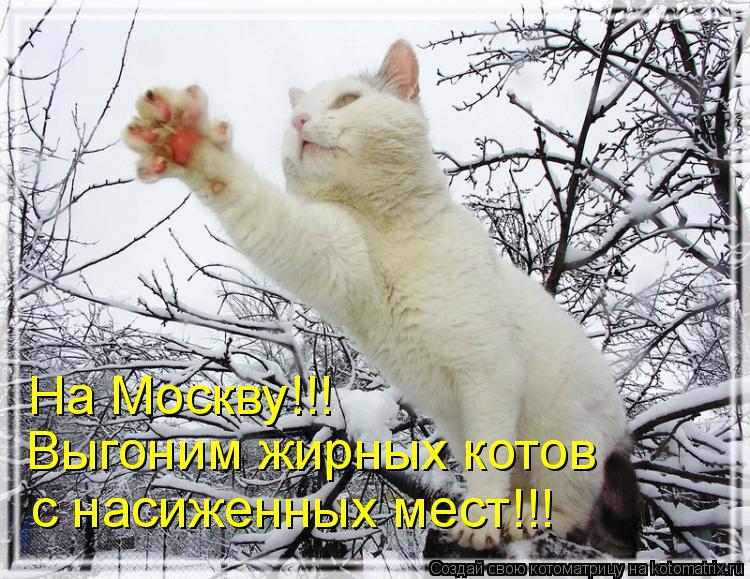 На Москву!!! Выгоним жирных котов с насиженных мест!!!... Котоматрица: На Москву!!! Выгоним жирных котов с насиженных мест!!!
