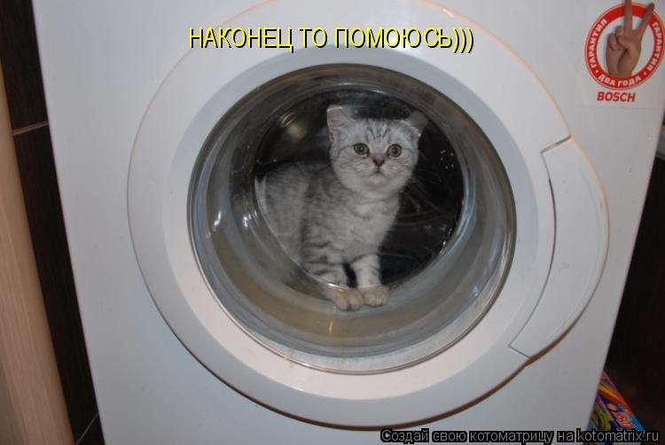 НАКОНЕЦ ТО ПОМОЮСЬ)))... Котоматрица: НАКОНЕЦ ТО ПОМОЮСЬ)))
