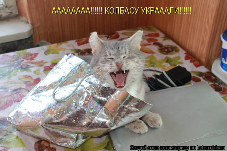 АААААААА!!!!!! КОЛБАСУ УКРАААЛИ!!!!!!... Котоматрица: АААААААА!!!!!! КОЛБАСУ УКРАААЛИ!!!!!!