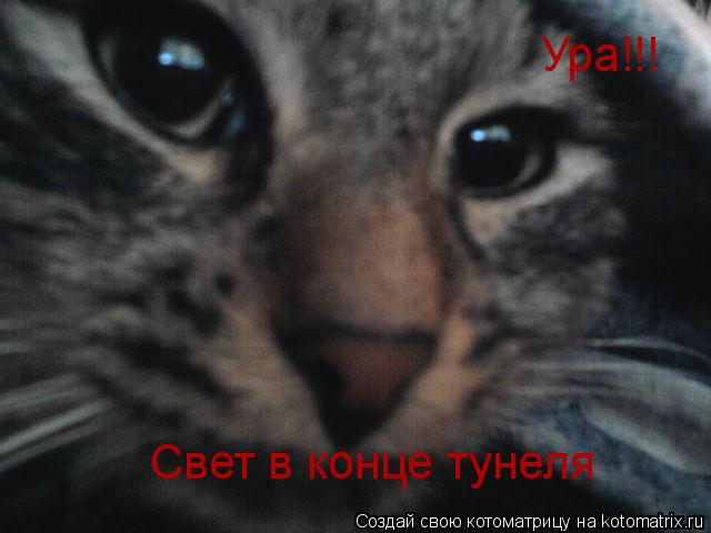 Ура!!! Свет в конце тунеля... Котоматрица: Ура!!! Свет в конце тунеля