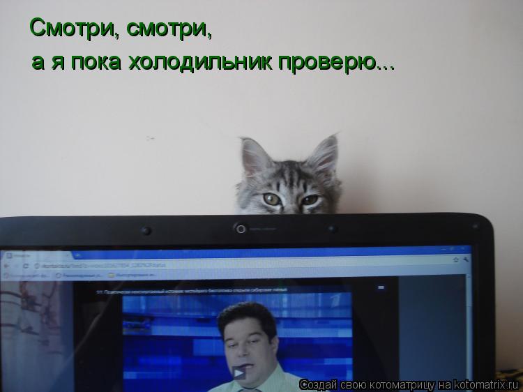 Смотри, смотри, а я пока холодильник проверю Смотри, смотри, а я пока холодильник проверю...... Котоматрица: Смотри, смотри, а я пока холодильник проверю Смотри, смотри, а я пока холодильник проверю...