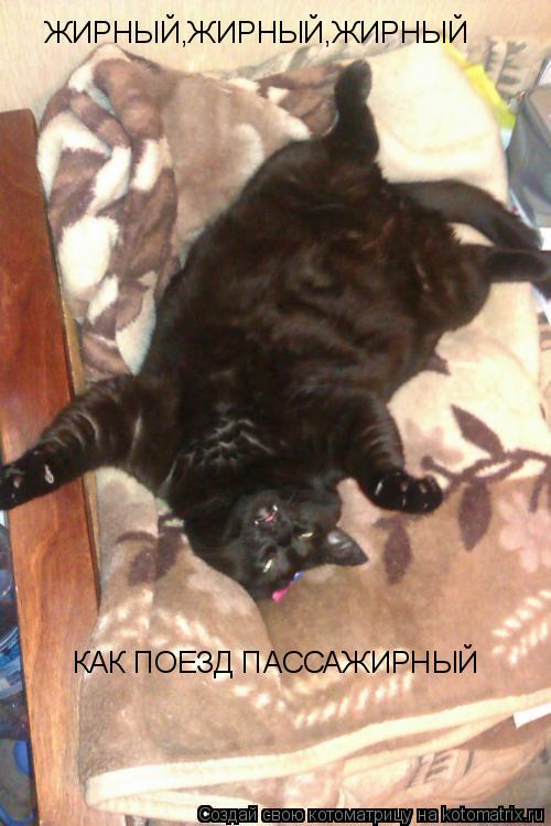 ЖИРНЫЙ,ЖИРНЫЙ,ЖИРНЫЙ КАК ПОЕЗД ПАССАЖИРНЫЙ... Котоматрица: ЖИРНЫЙ,ЖИРНЫЙ,ЖИРНЫЙ КАК ПОЕЗД ПАССАЖИРНЫЙ