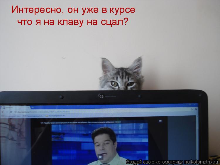 Интересно, он уже в курсе что я на клаву на сцал?... Котоматрица: Интересно, он уже в курсе что я на клаву на сцал?