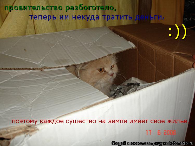 провительство разбоготело, теперь им некуда тратить деньги , :)) поэтому каждое сушество на земле име... Котоматрица: провительство разбоготело, теперь им некуда тратить деньги , :)) поэтому каждое сушество на земле имеет свое жилье.