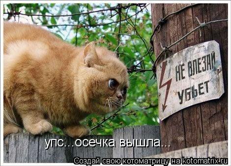 упс...осечка вышла...... Котоматрица: упс...осечка вышла...