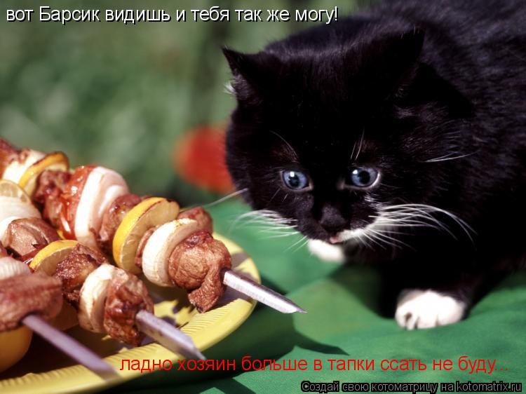 вот Барсик видишь и тебя так же могу! ладно хозяин больше в тапки ссать не буду...... Котоматрица: вот Барсик видишь и тебя так же могу! ладно хозяин больше в тапки ссать не буду...