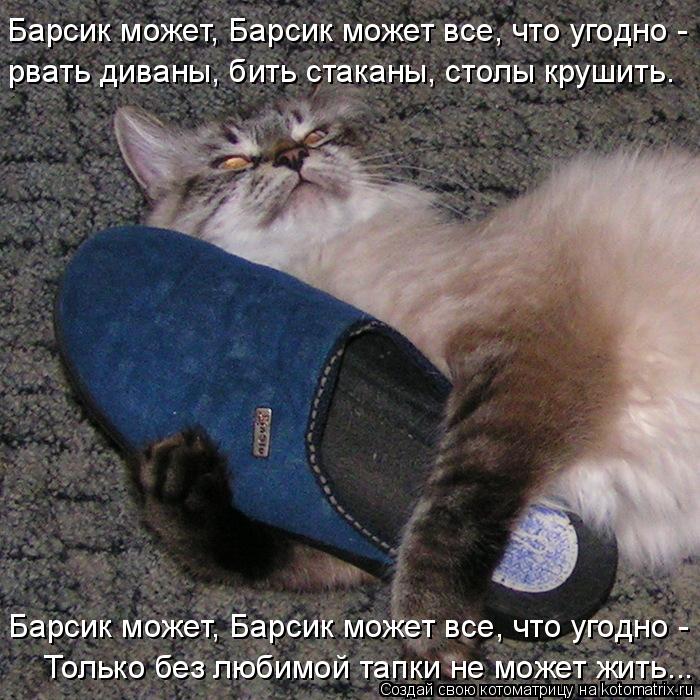 Барсик может, Барсик может все, что угодно - Барсик может, Барсик может все, что угодно - рвать див... Котоматрица: Барсик может, Барсик может все, что угодно - Барсик может, Барсик может все, что угодно - рвать диваны, бить стаканы, столы крушить. Только бе