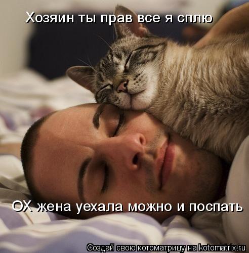 ОХ жена уехала можно и поспать ОХ жена уехала можно и поспать Хозяин ты прав все я сплю Хозяин ты пра... Котоматрица: ОХ жена уехала можно и поспать ОХ жена уехала можно и поспать Хозяин ты прав все я сплю Хозяин ты прав все я сплю z