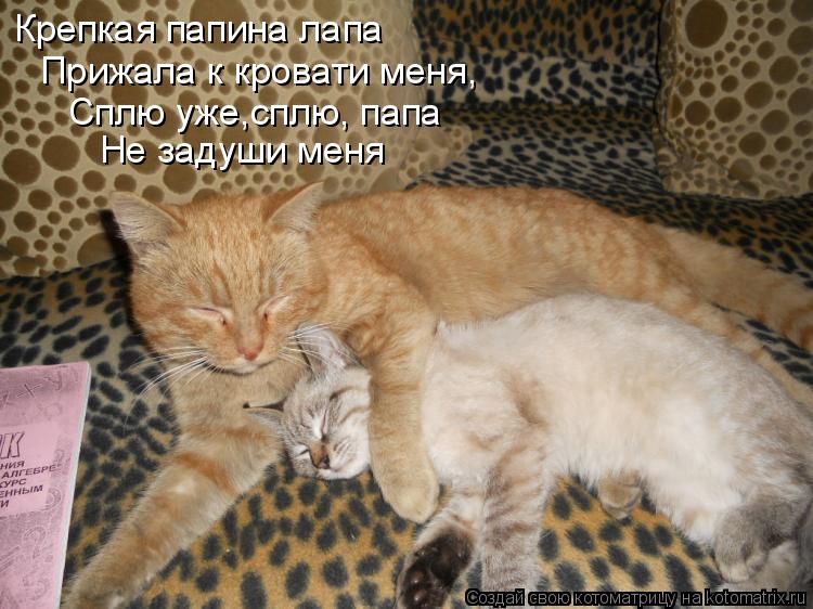 Крепкая папина лапа Прижала к кровати меня, Сплю уже,сплю, папа Не задуши меня... Котоматрица: Крепкая папина лапа Прижала к кровати меня, Сплю уже,сплю, папа Не задуши меня