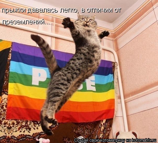 прыжки давалась легко, в отличии от преземлений...... Котоматрица: прыжки давалась легко, в отличии от преземлений...