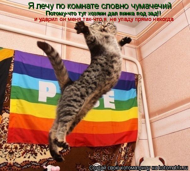 Я лечу по комнате словно чумачечий Потому-что тут хозяин дал пинка под зад!! и ударил он меня так-что... Котоматрица: Я лечу по комнате словно чумачечий Потому-что тут хозяин дал пинка под зад!! и ударил он меня так-что я не упаду прямо некогда и ударил он мен