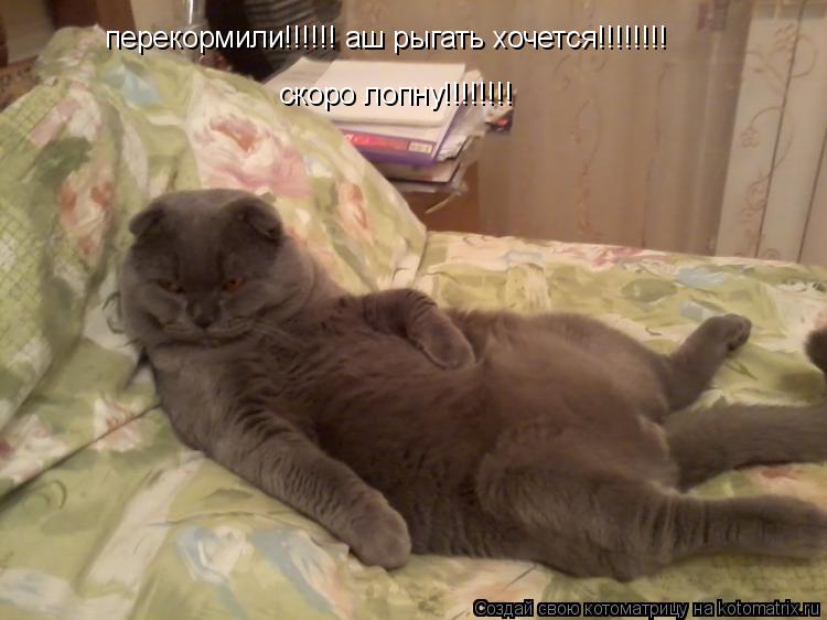 перекормили!!!!!! аш рыгать хочется!!!!!!!! скоро лопну!!!!!!!!... Котоматрица: перекормили!!!!!! аш рыгать хочется!!!!!!!! скоро лопну!!!!!!!!