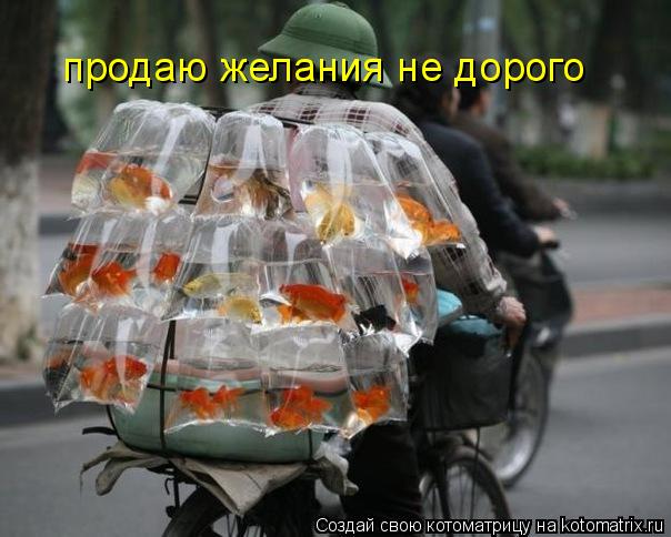 продаю желания не дорого... Котоматрица: продаю желания не дорого