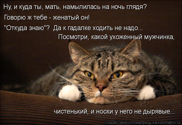Ну, и куда ты, мать, намылилась на ночь глядя? Говорю ж тебе - женатый он! "Откуда знаю"? Да к гадал... Котоматрица: Ну, и куда ты, мать, намылилась на ночь глядя? Говорю ж тебе - женатый он! "Откуда знаю"? Да к гадалке ходить не надо... Посмотри, какой ухоженный