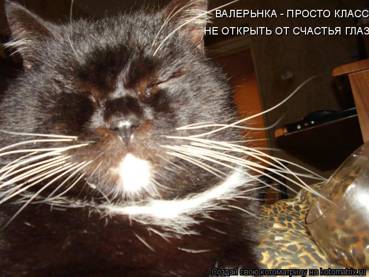 ВАЛЕРЬНКА - ПРОСТО КЛАСС НЕ ОТКРЫТЬ ОТ СЧАСТЬЯ ГЛАЗ... Котоматрица: ВАЛЕРЬНКА - ПРОСТО КЛАСС НЕ ОТКРЫТЬ ОТ СЧАСТЬЯ ГЛАЗ