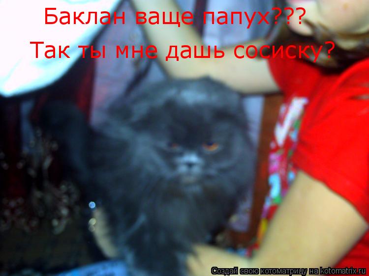 Баклан ваще папух??? Так ты мне дашь сосиску?... Котоматрица: Баклан ваще папух??? Так ты мне дашь сосиску?