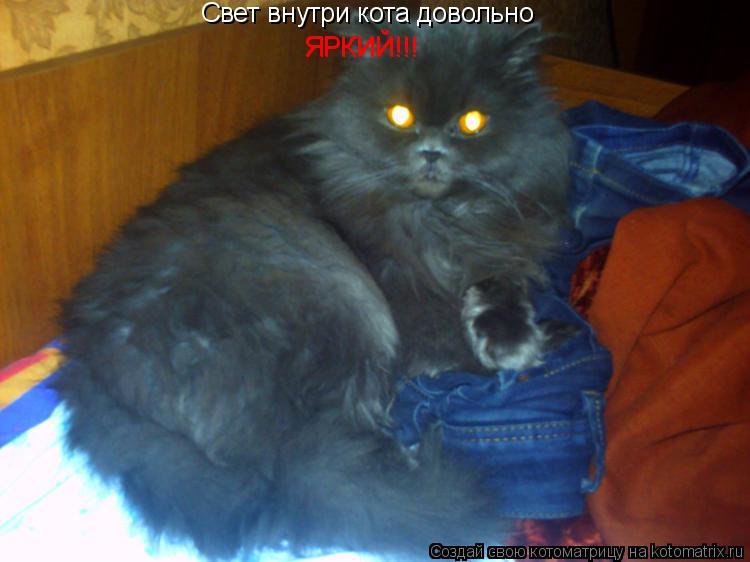 Свет внутри кота довольно ЯРКИЙ!!! ЯРКИЙ!!!... Котоматрица: Свет внутри кота довольно ЯРКИЙ!!! ЯРКИЙ!!!