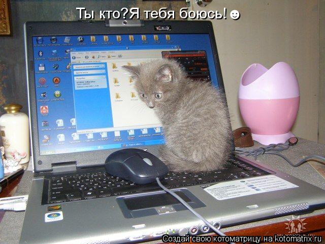 Ты кто?Я тебя боюсь!☻... Котоматрица: Ты кто?Я тебя боюсь!☻