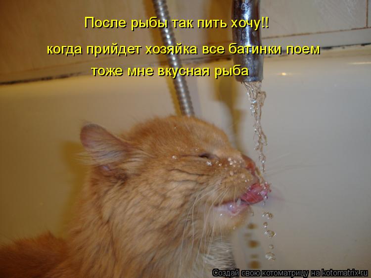 После рыбы так пить хочу!! когда прийдет хозяйка все батинки поем тоже мне вкусная рыба... Котоматрица: После рыбы так пить хочу!! когда прийдет хозяйка все батинки поем тоже мне вкусная рыба