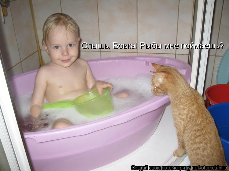 Слышь, Вовка! Рыбы мне поймаешь?... Котоматрица: Слышь, Вовка! Рыбы мне поймаешь?