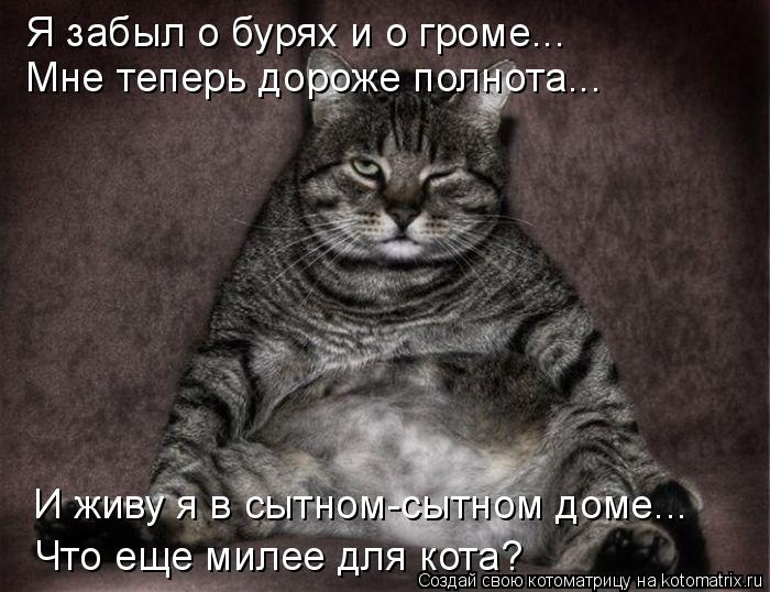 Я забыл о бурях и о громе... Мне теперь дороже полнота... Что еще милее для кота? И живу я в сытном-... Котоматрица: Я забыл о бурях и о громе... Мне теперь дороже полнота... Что еще милее для кота? И живу я в сытном-сытном доме...