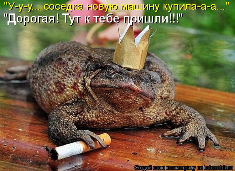 "У-у-у... соседка новую машину купила-а-а..." "Дорогая! Тут к тебе пришли!!!"... Котоматрица: "У-у-у... соседка новую машину купила-а-а..." "Дорогая! Тут к тебе пришли!!!"