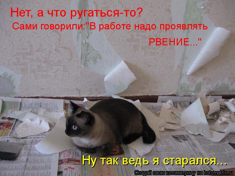 Нет, а что ругаться-то? Сами говорили:"В работе надо проявлять РВЕНИЕ..." Ну так ведь я старался...... Котоматрица: Нет, а что ругаться-то? Сами говорили:"В работе надо проявлять РВЕНИЕ..." Ну так ведь я старался...
