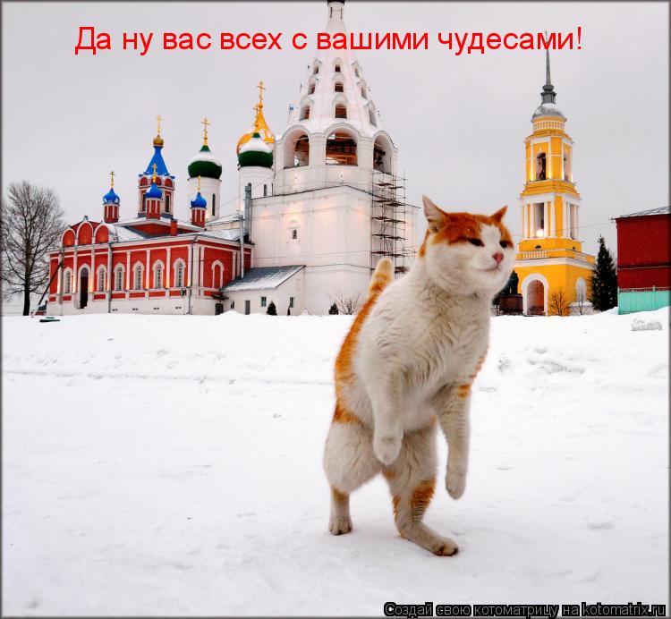 Да ну вас всех с вашими чудесами!... Котоматрица: Да ну вас всех с вашими чудесами!