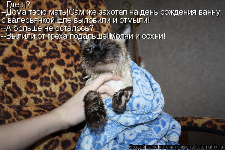 --Где я? --Дома,твою мать!Сам же захотел на день рождения ванну с валерьянкой!Еле выловили и отмыли! ... Котоматрица: --Где я? --Дома,твою мать!Сам же захотел на день рождения ванну с валерьянкой!Еле выловили и отмыли! --А больше не осталось? --Вылили от греха по