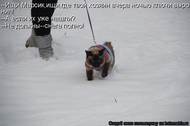--Ищи,Марсик,ищи,где твой хозяин вчера ночью ключи выро- нил! --А если их уже нашли? --Не должны--сне... Котоматрица: --Ищи,Марсик,ищи,где твой хозяин вчера ночью ключи выро- нил! --А если их уже нашли? --Не должны--снега полно!