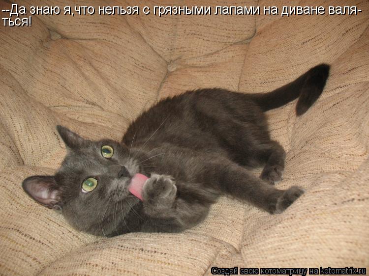 --Да знаю я,что нельзя с грязными лапами на диване валя- ться!... Котоматрица: --Да знаю я,что нельзя с грязными лапами на диване валя- ться!